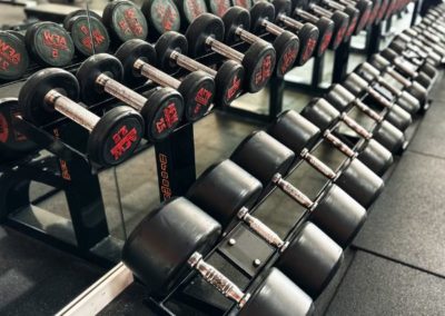pesas entrenamiento gimnasio petrer